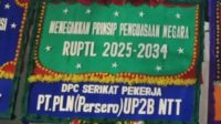 IMG-20260211-WA0028