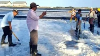 FB_IMG_1761796110999_copy_384x269